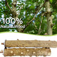 BNOSDM Natural Wood Bird Ladder Perch 6Pcs Parrot Stand Branches Climbing Chewing Stick Parakeet Swing Toys Cage Accessories Paw Grinding Fork Sets for Lovebirds Cockatiels Conure Budgies
