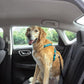 PetSafe 3 in 1 Dog Harness - No Pull Solution for Dogs - Reflective Dog Harness - Front D-Ring Clip Helps Stop Pulling - Comfortable Padded Straps - Top Handle Enhances Control - Teal - Large