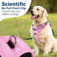 Funfox Dog Harness No Pull, Adjustable Pet Vest Harness, Super Soft Material with Vertical Handle Easy Control, Reflective Night Walking, 2 Leash Clips for Small Sized Dogs, Pink, S
