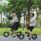 Winado Electric Bike for Adults, 14" Folding Electric Bicycle 450W Motor with Dual Disc Brakes, Max Range 25Miles(Pedal-Assist) & Speed 15.5MPH, Foldable Commuter City Ebike for Adults/Teens