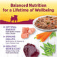 Wellness Petite Entrées Shredded Medley with Roasted Chicken, Duck, Peas & Carrots, 3-Ounce Cup (Pack of 12)