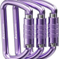 FresKaro 3inch 12kN-2698lbs Auto Locking Carabiner Clips, Solid D Shape, Heavy Duty 7075 Aluminum, Lightweight 1.09oz, Rust Proof, for Hammock, Hiking, Dog Leash, Keychain etc., Multi-Colors