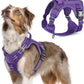 rabbitgoo Tactical Dog Harness Medium Sized Dog, No Pull Military Service Vest with Handle & Molle, Easy Control for Training Walking, Adjustable Reflective Straps, Purple, M