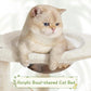 Yaheetech 54in Rattan Cat Tree, Modern Tower with Breathable Woven Condo, Scratching Posts & Washable Cushions, Naturally Cool in Summer, Cute Furniture for Indoor Cats