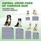 Washable Dog Pads - Extra Large Reusable Training Mat, Absorbent Non-Slip Potty Pads for Dogs, Grey 72"x72"