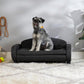 Paws & Purrs Multi-Cat Sofa Elevated Pet Bed for Indoor Cats Raised Cats Couch with Removable Washable Mattress Cover for Kittens, Dogs - 35.5" Wide, Gray