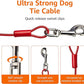 Amazon Basics Tie-Out Cable For Dogs Up to 56.7kg/914.4cm (Pack of 1), Red