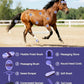 11PCS Horse Grooming Kit Curry Comb Sweat Scraper Horse Bathing Supplies Grooming Tools with Storage Bag Sugar Taro