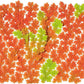 Azolla caroliniana 20 + Plants Live Floating Pond Plant Mosquito Fern Water Velvet Fairy Moss Aquarium Outdoor Ponds Fast Growth Outcompetes Algae Fish Food filiculoides
