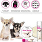 The Blissful Dog Smooth Coat Chihuahua Nose Butter for Dry, Cracked Skin, Lick-Safe Dog Nose Balm with Moisturizing Shea Butter, Almond, Olive, and Essential Oils, Pet Supplies, Uncented, 0.15 oz.