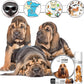The Blissful Dog Bloodhound Nose Butter for Dry, Cracked Skin, Lick-Safe Dog Nose Balm with Moisturizing Shea Butter, Almond, Olive, and Essential Oils, Pet Supplies, Uncented, 2 oz.