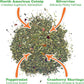 Meowijuana | Santa's Secret Stash | Holiday Catnip Filled Candy Cane | Winter Lift Catnip Blend | Cat Toys | Promotes Play and Cat Health | Organic Catnip