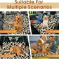 Dog Car Seat Cover, Durable Waterproof Scratch Proof Nonslip Dog Hammock, Back Seat Covers with Pocket for Cars SUVs and Trucks - S, Leopard/Black
