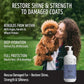 Tauro Pro Line Moisturizing Dog Shampoo for Smelly Dogs, Deodorizing All Natural Dog Wash, Pet Coat Protection, Cat & Puppy Shampoo for Dry Sensitive Skin (Magic Plex - 13.5 Fl Oz)