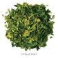 Tea Forte Citrus Mint Premium Organic Loose Leaf Caffeine-Free Herbal Tea Blend Canister, Makes 35-50 Cups
