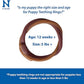 N-Bone Puppy Teething Ring Chicken Flavor (1 Pack Of 6 Rings) (113048)