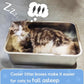 LIHONG Stainless Steel Cat Litter Box for Cat and Rabbit, Odor Control Litter Box Non Slip Rubber Feet. Odor Control, Non Stick, Never Bend 16" L x 12" W x 4" H