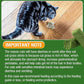 30g Cat Grass Sticks, Delicious Cat Grass Teething Stick Edible Cats Chew Toy Cat Treats Snack for Teeth Cleaning and Hairball Removal