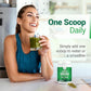 Nested Naturals Super Greens Daily Superfood Powder - Certified USDA Organic Green Powder w/20+ Whole Foods, Spirulina Powder, Wheat & Barley Grass - Probiotics, Fiber & Enzymes - Original Flavor, 60