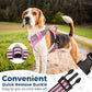 Funfox Dog Harness No Pull, Adjustable Pet Vest Harness, Super Soft Material with Vertical Handle Easy Control, Reflective Night Walking, 2 Leash Clips for Small Sized Dogs, Pink, S