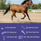 9PCS Horse Grooming Kit Curry Comb Sweat Scraper Horse Bathing Supplies Grooming Tools with Storage Bag Sugar Taro