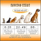 Pet Hemp Oil | Dogs and Cats | Wild Alaskan Salmon Hemp Oil | 1000MG Organic Tincture | 100% Natural | Hip, Joint, and Muscle Support for Your Pet | Aids with Skin, Coat, Anxiety, Stress, and Pain