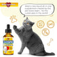 Cat Joint Supplement for All Breeds – Glucosamine for Cats and Kittens – Glucosamine, Chondroitin, MSM for Hip & Joint Care – Natural Ingredients with Chicken Flavor – 2 Oz