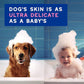 DOUXO® Skin & Coat SPA - Ultra-Safe Dog Shampoo for Itchy Skin, 16 fl oz, Skin-Friendly Formula Cleans and Soothes, Leaves The Coat Soft and Radiant