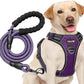 No Pull Dog Harness Adjustable Reflective Oxford Easy Control Medium Large Dog Harness with A Free Heavy Duty 5ft Dog Leash (M (Chest: 22"-26"), Purple Harness+Leash)