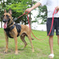ICEFANG Tactical Dog Leash,K9 Training Walking Bungee Lead with 2 Control Handle,Heavy Duty Quick Release Metal Clasp,for Medium Large Breed (Reflective Red, 6 FT)