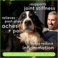 Native Pet Pain Relief for Dogs - Collagen for Dogs Promotes Joint Health, Reduce Inflammation & Stiffness - Senior Pup Joint Supplement - Natural Pain Reliever for Active & Aging Pets - 30 Chews