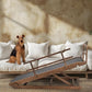 Dog Ramp for Bed, 5 Level Adjustable Dog Ramp for High Beds, Upgrade Rubber Mat High Traction Ramp with Safety Rails, Folding Pet Ramp for Bed, Couch,SUV, Natural Wood Pet Ramp for Small & Old Dogs