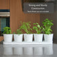 SCANDINORDICA White Herb Planter 5 Pots with Drainage Holes and Tray, Windowsill Planter, Indoor/Outdoor Herb Pots
