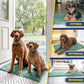 Muddy Mat® Shown on TV–Super Absorbent Microfiber Dog Door Mat for Muddy Paws, Non-Slip Washable Pet Rug, Quick Dry Chenille Entryway Carpet, Machine Washable Indoor Outdoor mat–Seafoam Green 28"x18"