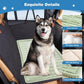 VClife Dog Car Seat Cover for Backseat Extender, Anti Slip Dog Bed Mat Travel Blanket, Pet Friendly Backseat Cover for Cars, SUVs, Small Trucks, Back Seat Extender Protector (Sage Green, 51"×23.6")