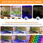hygger Smart Aquarium Starter Kit, Glass Fish Tank with 24/7 Mode Light, Heater, Water Pump, Filter Media, Auto Feeder,Water Changer, Cleaning Tool, Fishing Net,Timer Automatic Switch (10 Gallon)