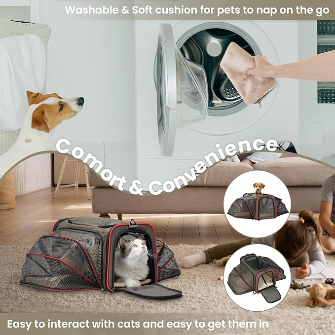 Petsfit Expandable Cat Dog Carrier for 2 Cats, 19" Lx 12" Wx 12" H Soft-Sided Portable Pet Carrier for Travel, Dog Carrier for Small Dog with 2 Side Extensions, Anti-Escape