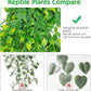 Hamiledyi Reptile Plants, 4 Pack Fake Amphibian Plants, Artificial Leaves Habitat Decorations with Suction Cup for Bearded Dragon Lizard Geckos Chameleon