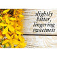Buddha Teas Organic St. John's Wort Tea - Kosher, Caffeine-Free, GMO-Free - 18 Bleach-Free Tea Bags 1