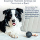 Rx Vitamins Essentials for Dogs - Daily Vitamins & Minerals - with Blue Spirulina, Kelp Powder, and Milk Thistle - Complete Canine Vitamins and Essential Minerals Powder - 8 oz
