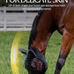 Equinavia Bug Out Fly Mask | Against Flies, Insects, UV Rays - Carbon Grey - Cob