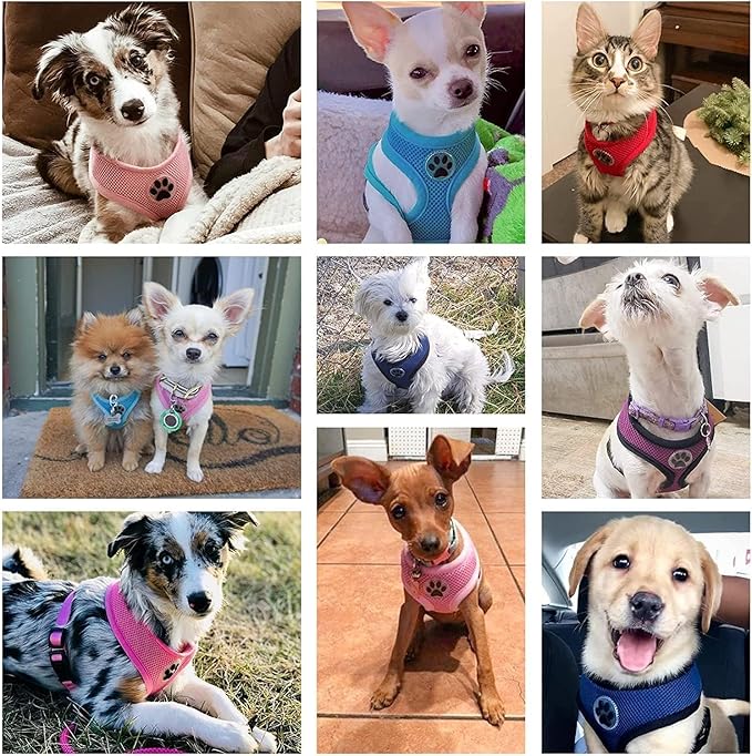 BINGPET No Pull Dog Harness for Small Medium Dogs,All Weather Mesh Step in Vest Harness for Small Dogs,Breathable Mesh Puppy Cat Harnesses,Step-in Air Dog Harness for for Small Dogs,Red,Small