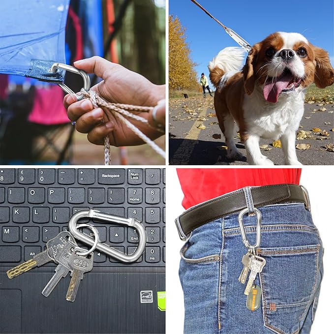sprookber 3" Aluminum Carabiner D Ring, Caribeener Clips, Spring Snap Hook for Keychain Clip, Set of 10