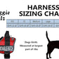 Doggie Stylz Blind Dog Harness No Pull No Escape Dog Vest for Blind Dogs Adjustable Vest with Handle Blind Dog Accessories and Patches for Training and Mobility
