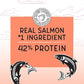 Blackwood Bounty Dry Cat Food, Salmon & Rainbow Trout Recipe for All Life Stages, 10 Pound Bag, High Protein, Grain Free