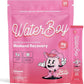 Waterboy Weekend Recovery x FOW | 3,200mg Electrolyte Powder Packets | Ginger + L-Theanine + Vitamins | No Sugar, All Natural, Gluten Free | 24 Drink Stick Mixes (Fruit Punch)