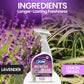 ZORBX Lavender & Lemongrass Spray, 24 Oz - All-Purpose Deodorizer, Refreshes Fabric, Removes Strong Odors, Perfect for Home, Car, Gym, Laundry