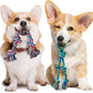 2 Pack Dog Rope Toy for Small Dogs, Puppy Teething Toys, Durable Cotton Puppy Chew Toys for Teething, Small Dog Toys for Aggressive Chewers, Interactive Tug of War Dog Toy for Puppies Boredom