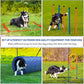 Dog Agility Training Equipment, 60-Piece Dog Obstacle Course Training Starter Kit Pet Outdoor Game with Tunnel, Agility Hurdle, Weave Poles, Jump Ring, Pause Box, Toy Balls and Storage Bag