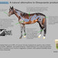 GastroPower Digestible Free Fatty Acid Feed Concentrate for Horses